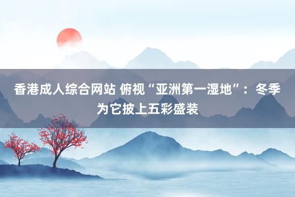 香港成人综合网站 俯视“亚洲第一湿地”：冬季为它披上五彩盛装