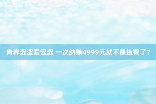青春涩涩爱涩涩 一次纳贿4999元就不是违警了？