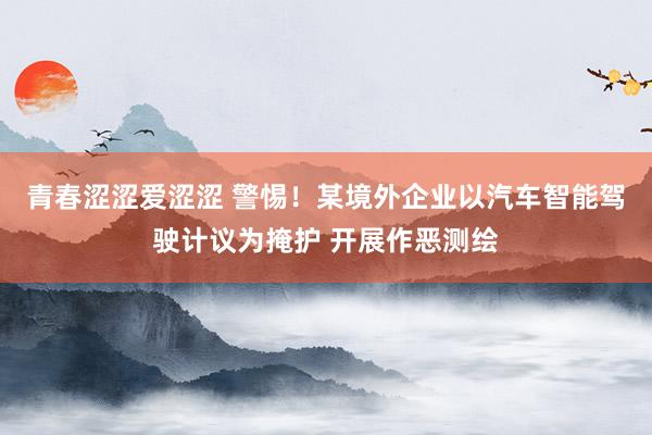 青春涩涩爱涩涩 警惕！某境外企业以汽车智能驾驶计议为掩护 开展作恶测绘