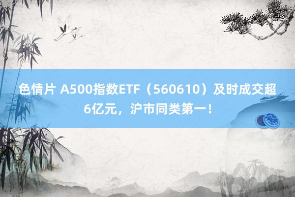 色情片 A500指数ETF（560610）及时成交超6亿元，沪市同类第一！