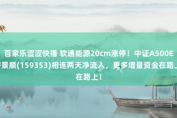 百家乐涩涩快播 软通能源20cm涨停！中证A500ETF景顺(159353)相连两天净流入，更多增量资金在路上！