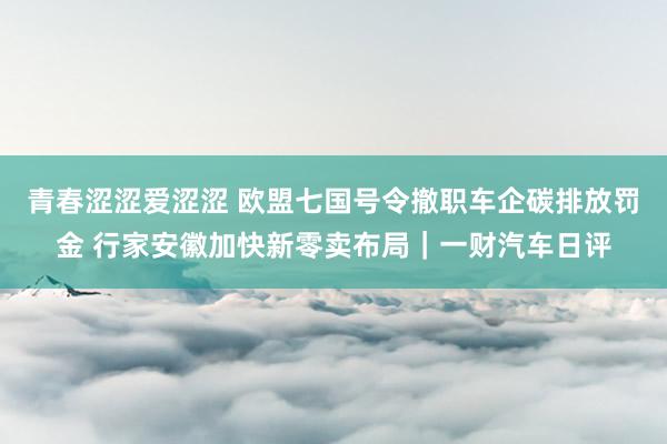 青春涩涩爱涩涩 欧盟七国号令撤职车企碳排放罚金 行家安徽加快新零卖布局｜一财汽车日评