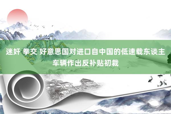 迷奸 拳交 好意思国对进口自中国的低速载东谈主车辆作出反补贴初裁