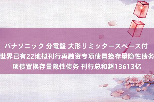 パナソニック 分電盤 大形リミッタースペース付 露出・半埋込両用形 世界已有22地拟刊行再融资专项债置换存量隐性债务 刊行总和超13613亿