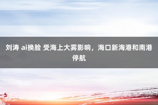 刘涛 ai换脸 受海上大雾影响，海口新海港和南港停航