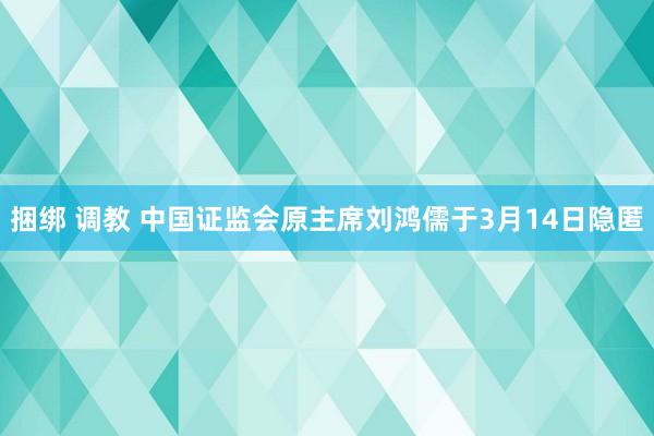 捆绑 调教 中国证监会原主席刘鸿儒于3月14日隐匿