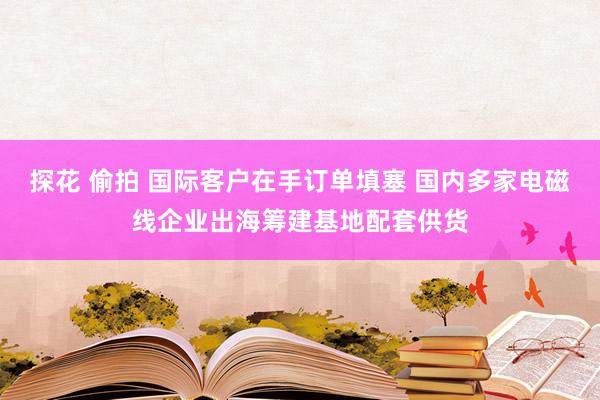 探花 偷拍 国际客户在手订单填塞 国内多家电磁线企业出海筹建基地配套供货