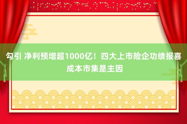 勾引 净利预增超1000亿！四大上市险企功绩报喜 成本市集是主因
