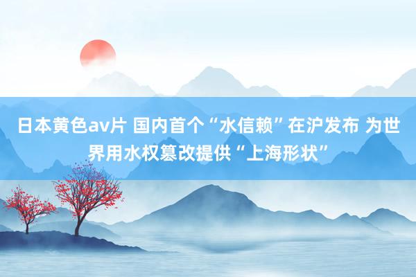 日本黄色av片 国内首个“水信赖”在沪发布 为世界用水权篡改提供“上海形状”
