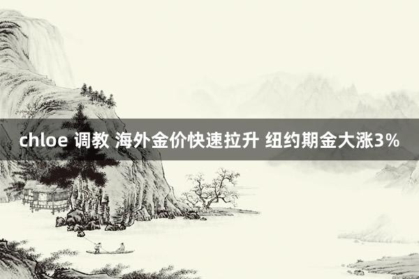 chloe 调教 海外金价快速拉升 纽约期金大涨3%